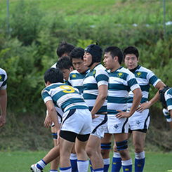 創価大学ラグビー部